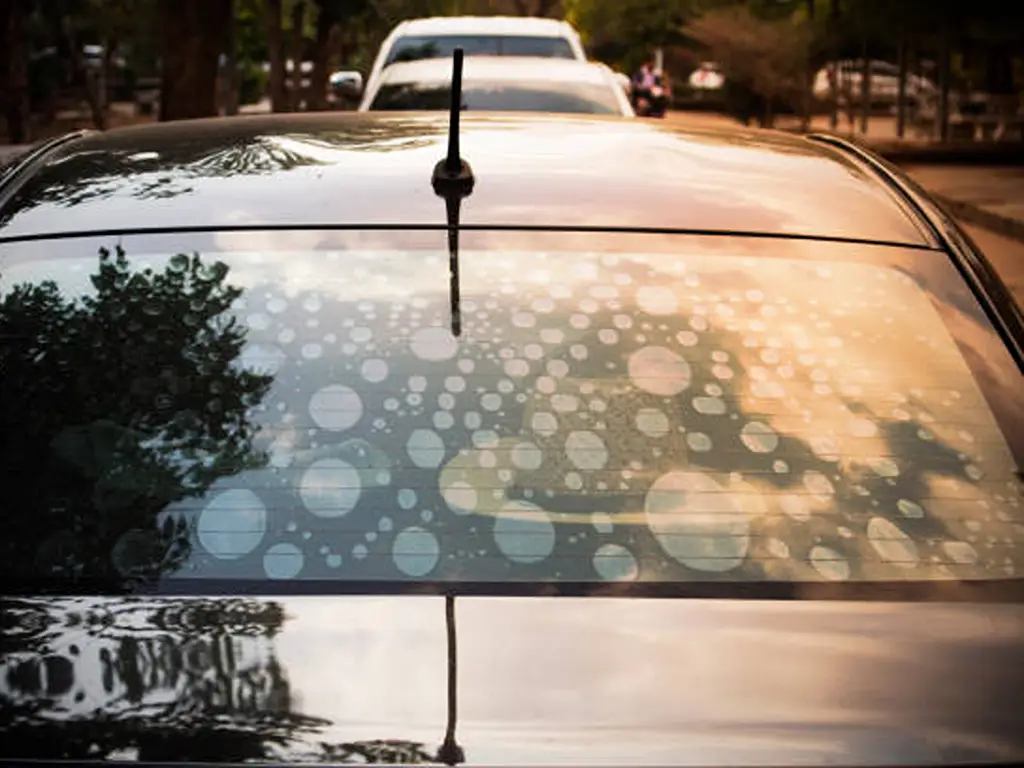 How Long After Tint to Roll Down Windows3